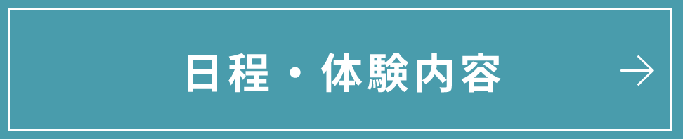 日程・体験内容